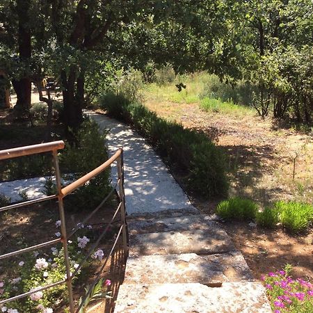 Le Bois De La Cour Βίλα Roussillon en Isere Εξωτερικό φωτογραφία